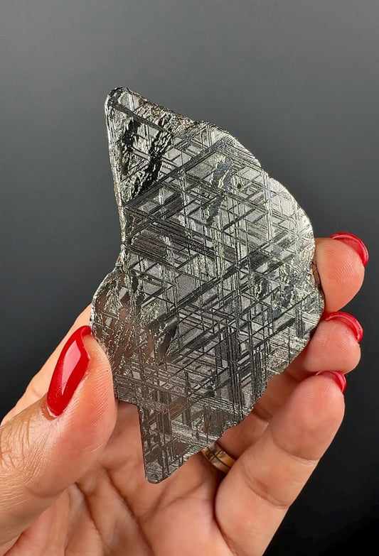 RARE !Muonionalusta Meteorite Slab