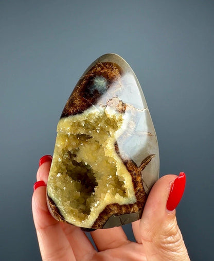UV Reactive! Utah Septarian Geodes