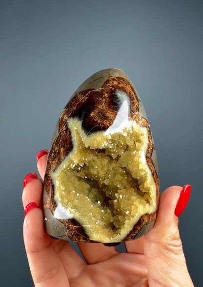 UV Reactive! Utah Septarian Geodes