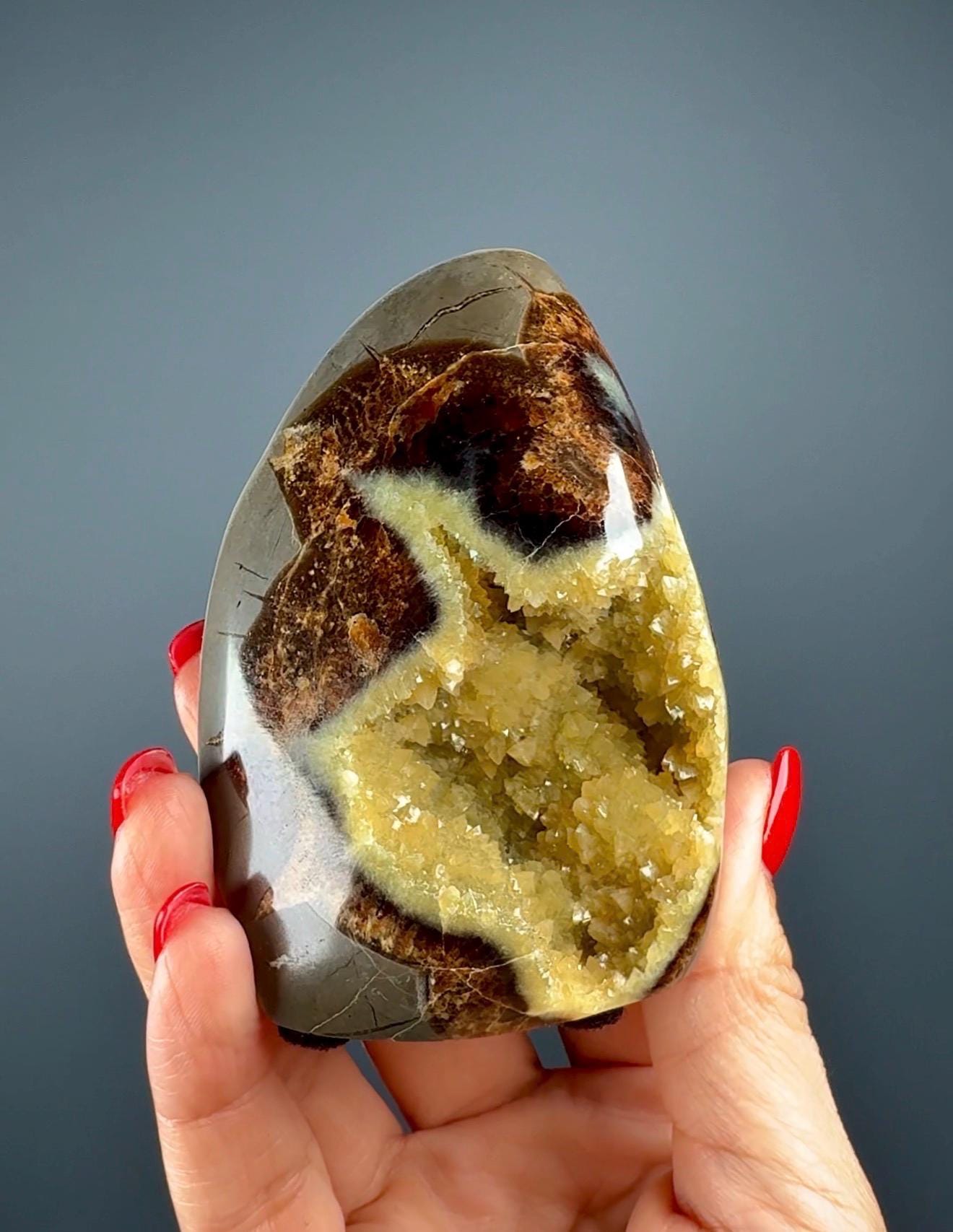 UV Reactive! Utah Septarian Geodes