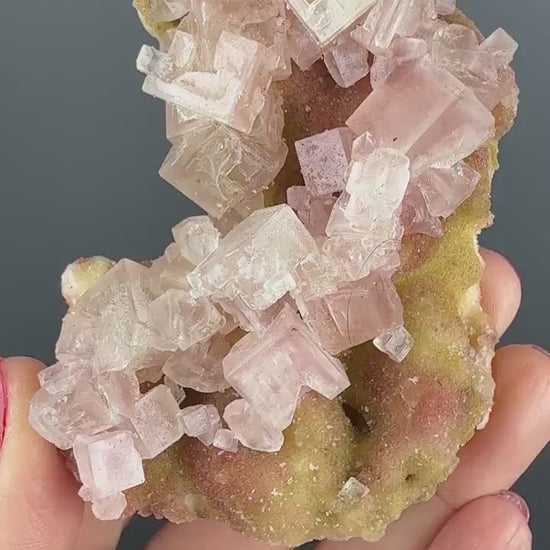 New Find! Bicolor Halite Crystal Rainbow Halite on Trona, Halite Crystal