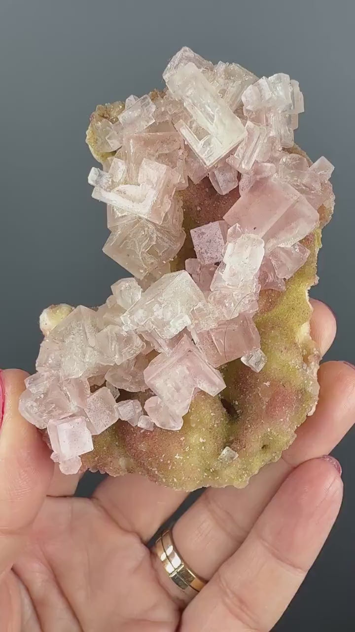 New Find! Bicolor Halite Crystal Rainbow Halite on Trona, Halite Crystal