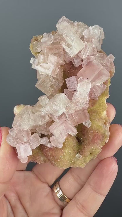 New Find! Bicolor Halite Crystal Rainbow Halite on Trona, Halite Crystal