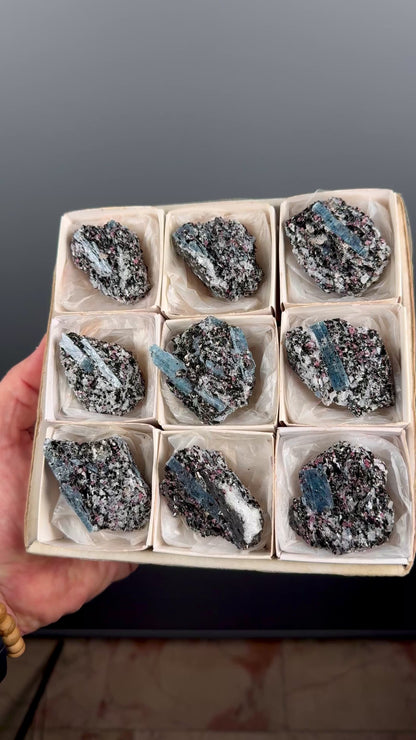 Kyanite with garnet, albite, biotite and Quartz Specimen Lot