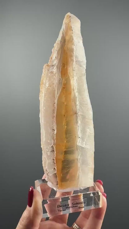 New! Bicolor Selenite from Spain