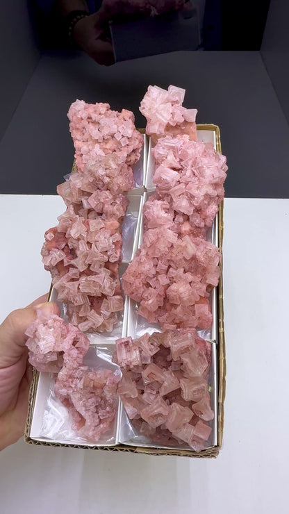 Pink Halite Crystal - 8 Pieces Lot