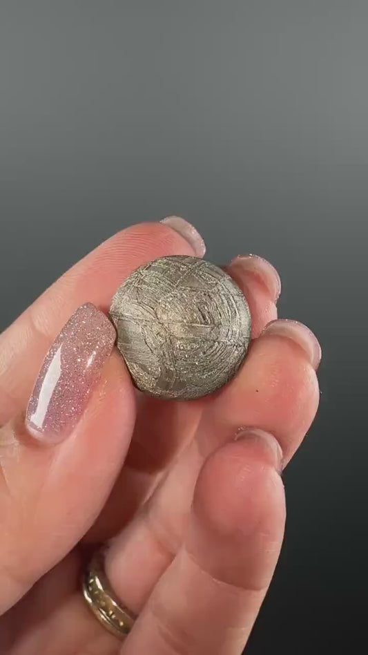 Genuine Muonionalusta Meteorite Sphere