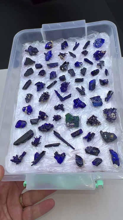 Blue Azurite Crystal  Specimen Lot 60-70 Pieces