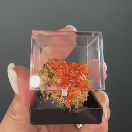 Orange Crocoite Crystal Specimen from Tasmania