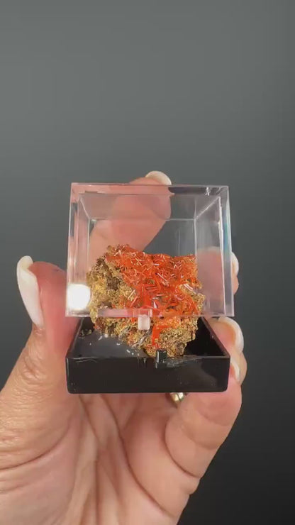 Orange Crocoite Crystal Specimen from Tasmania