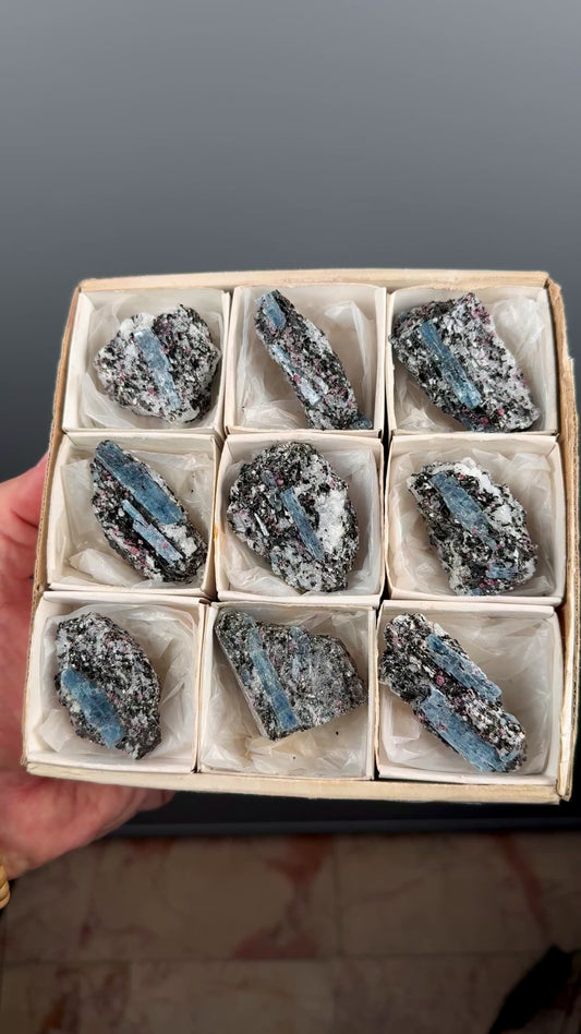 Kyanite with garnet, albite, biotite and Quartz Specimen Lot