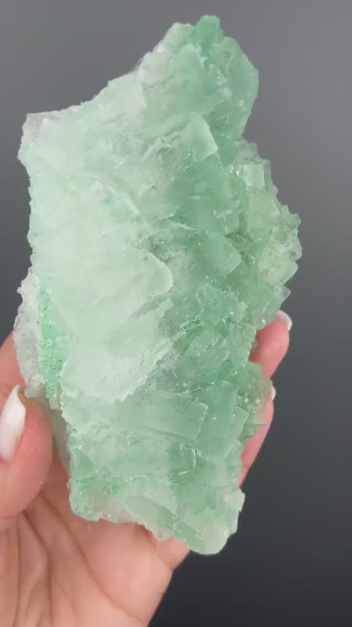 Rare Formation! Transparent Gemmy Cubic Green Halite with Gypsum Crystal  Specimen from Poland