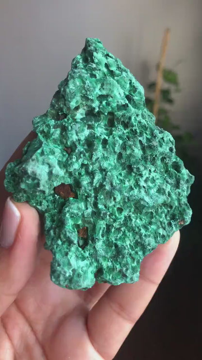 Beautiful Piece! Velvety Green Fibrous Malachite Mineral Specimen, Stone of Transformation