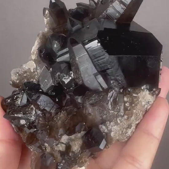 Feel the High Vibration! Black Tourmaline Crystal  With Smokey Quartz Crystal Specimen