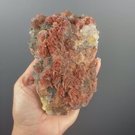 New Find!Pyrite and Red Barite  on Yellow Fluorite  Crystal Specimen
