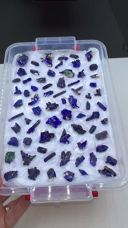 Blue Azurite Crystal  Specimen Lot 60-70 Pieces