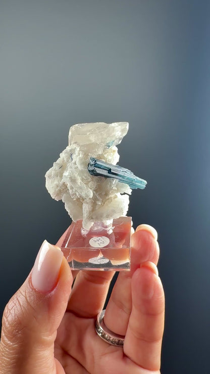 Blue Tourmaline Crystal on Quartz