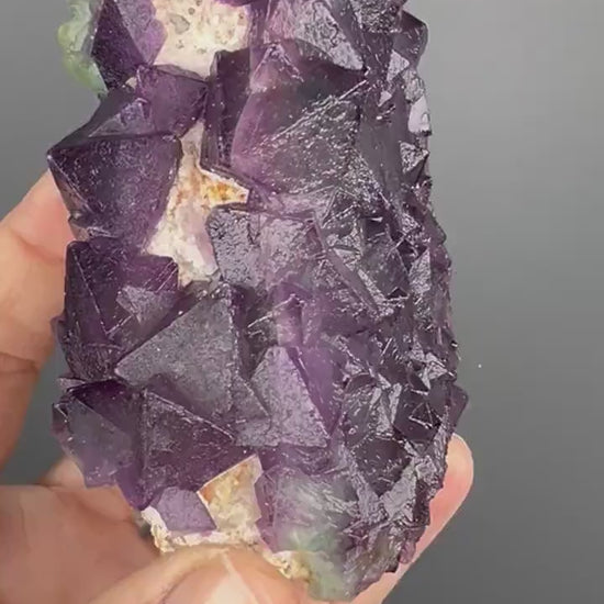 Amazing Color and Amazing Crystal Pattern ! Bi-Color  Fluorite Crystal Specimen