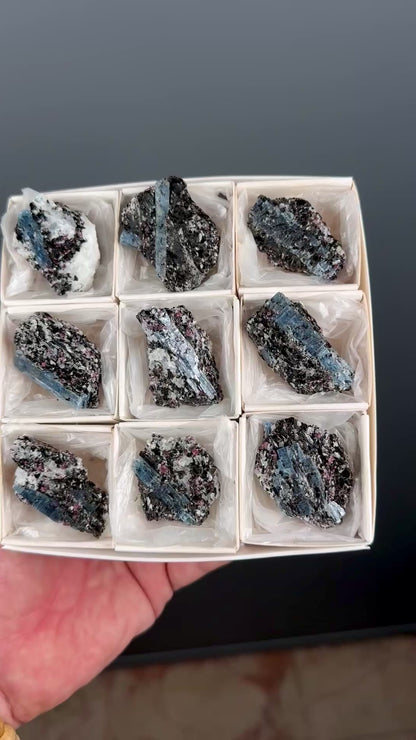 Kyanite with garnet, albite, biotite and Quartz Specimen Lot