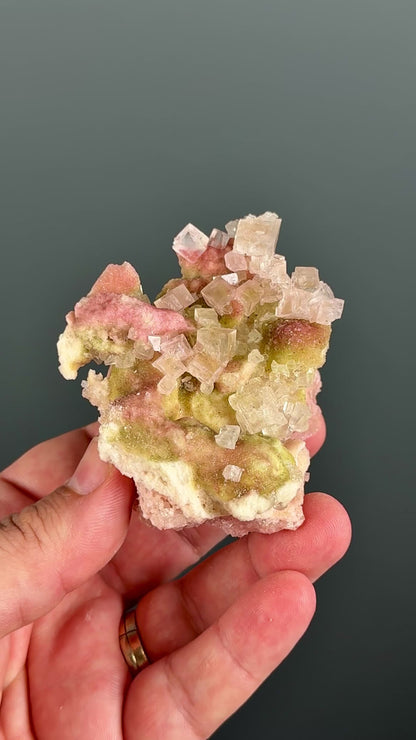 Bicolor Halite Crystal Rainbow Halite on Trona Lot