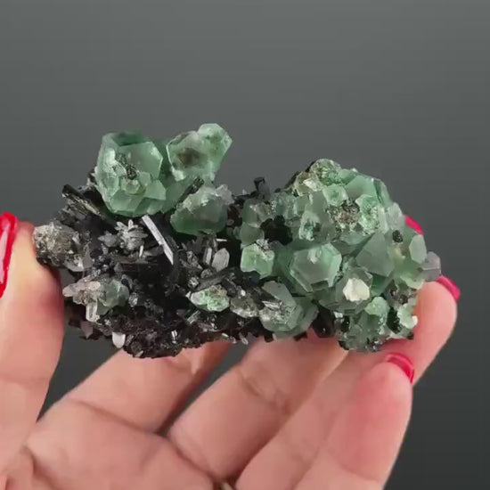 Fluorite on black Tourmaline Crystal (Lollipop Pocket), Erongo, Namibia