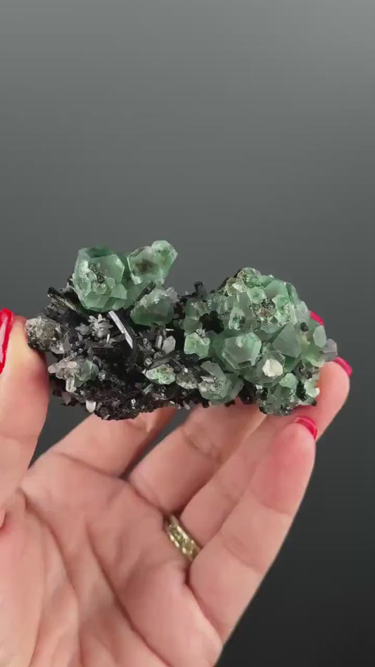 Fluorite on black Tourmaline Crystal (Lollipop Pocket), Erongo, Namibia
