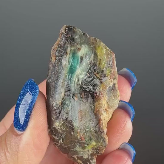 Natural Collawood  (Colla Petrified Wood) with Chrysocolla and Malachite