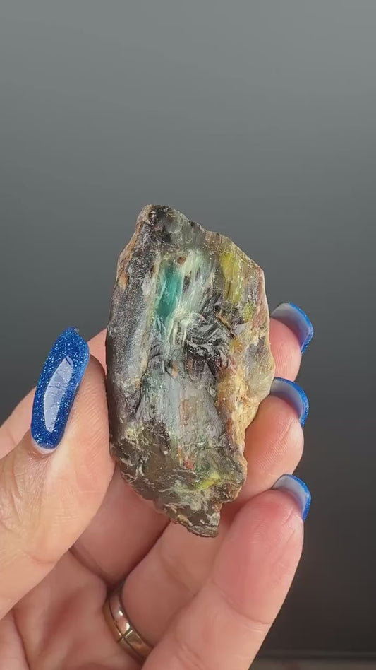 Natural Collawood  (Colla Petrified Wood) with Chrysocolla and Malachite