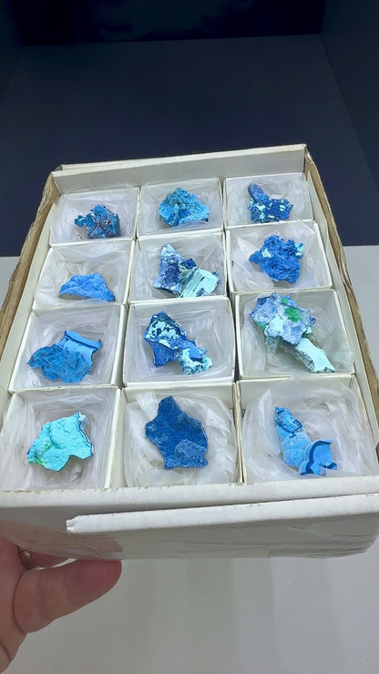 Blue Shattuckite Specimen Lot