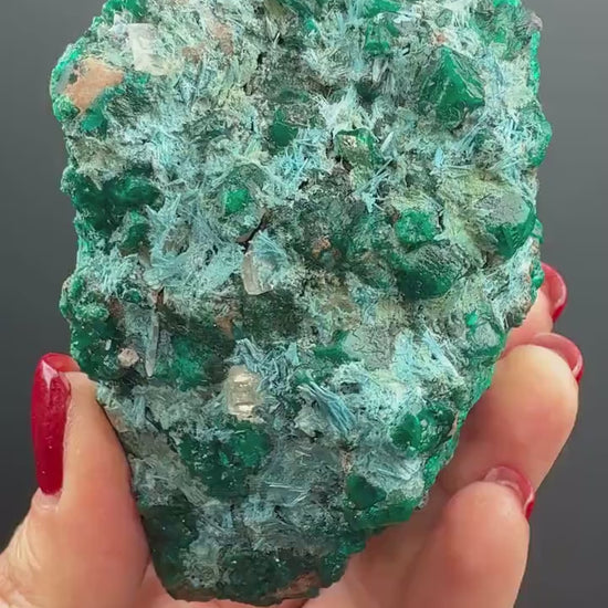 Stunning! Emerald Green Dioptase with Blue Shattuckite Spray  Mineral Specimen