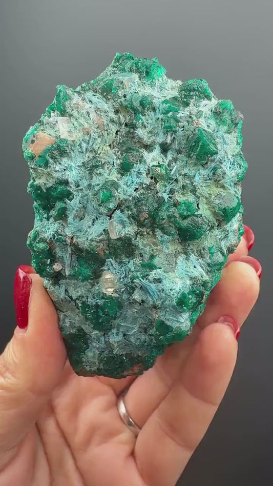 Stunning! Emerald Green Dioptase with Blue Shattuckite Spray  Mineral Specimen