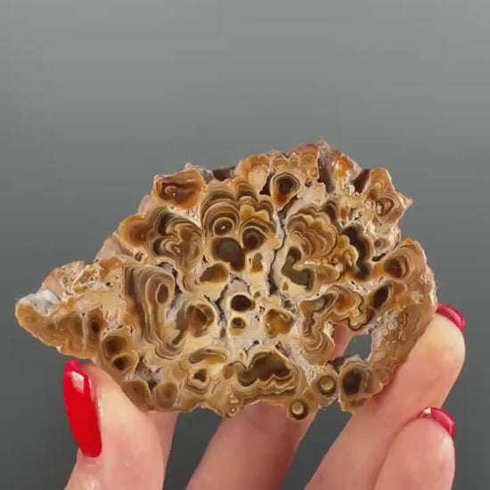 Brown Aragonite Stalactite Slab, Popcorn Aragonite