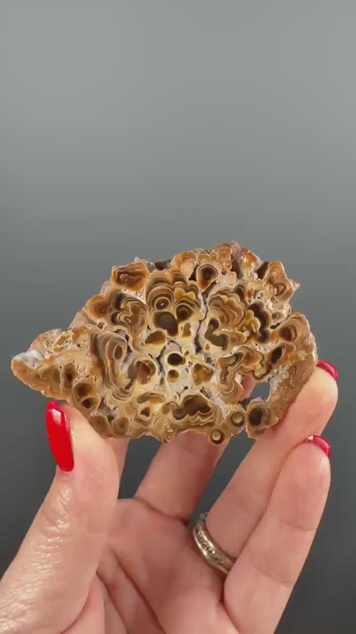 Brown Aragonite Stalactite Slab, Popcorn Aragonite