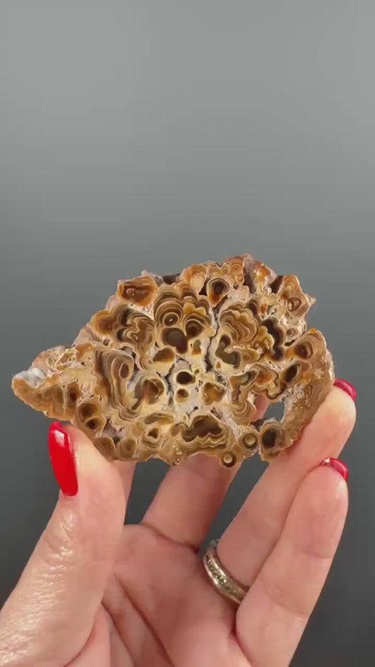 Brown Aragonite Stalactite Slab, Popcorn Aragonite