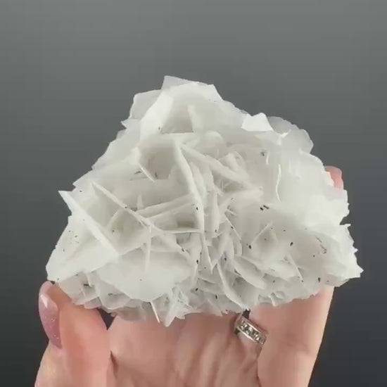 Angel Wings Calcite Specimen