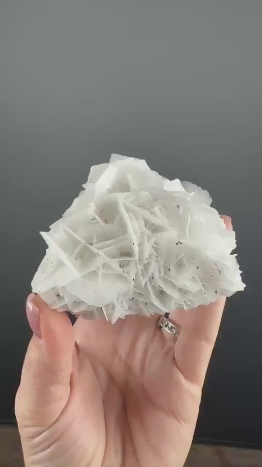 Angel Wings Calcite Specimen