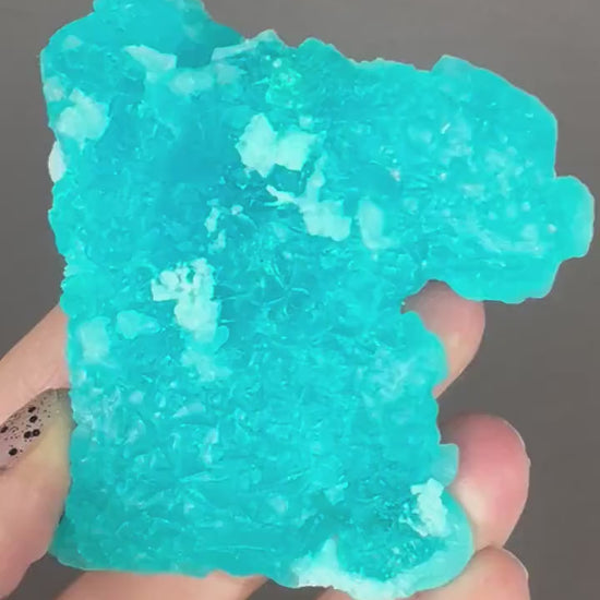 Neon Blue Salammoniac with Lecontite Specimen from Chile