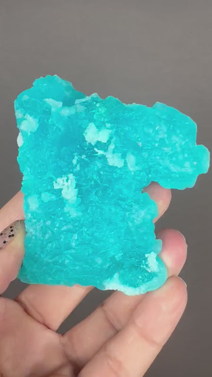 Neon Blue Salammoniac with Lecontite Specimen from Chile