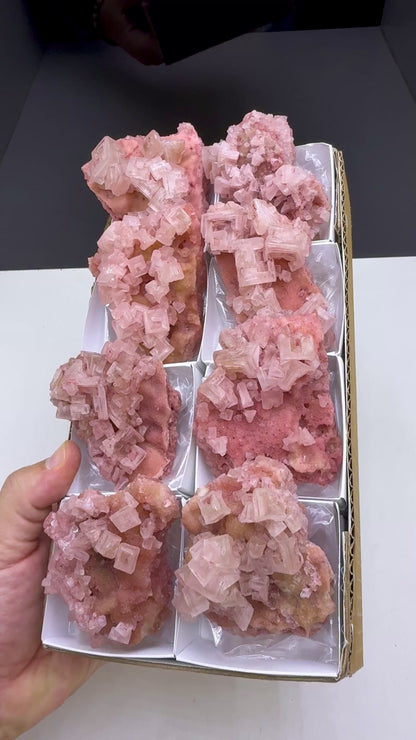 Pink Halite Crystal - 8 Pieces Lot