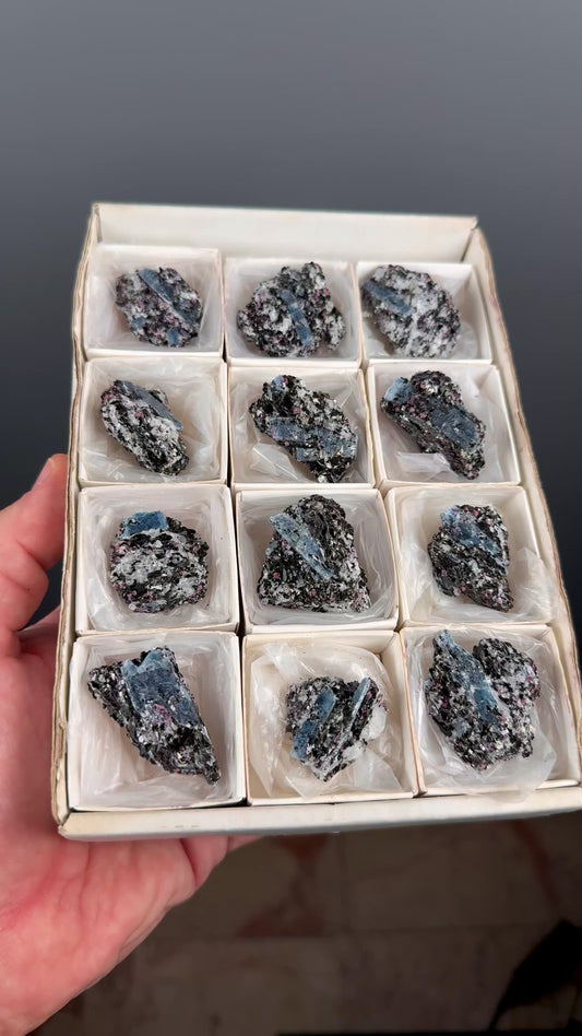 Kyanite with garnet, albite, biotite and Quartz Specimen Lot