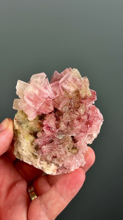 Bicolor Halite Crystal Rainbow Halite on Trona Lot
