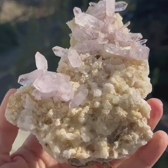 Stunning Amethyst Clusters from Vera Cruz, Mexico