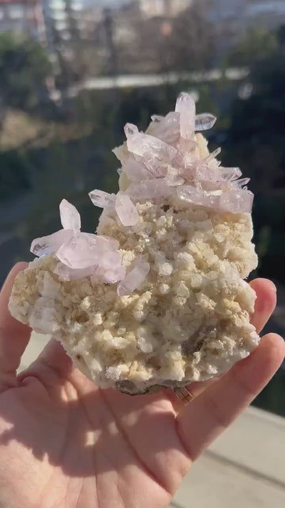 Stunning Amethyst Clusters from Vera Cruz, Mexico