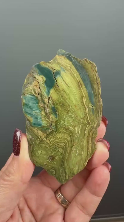 Rare, Bog Wood (Larsonite) from Nevada, Oregon USA