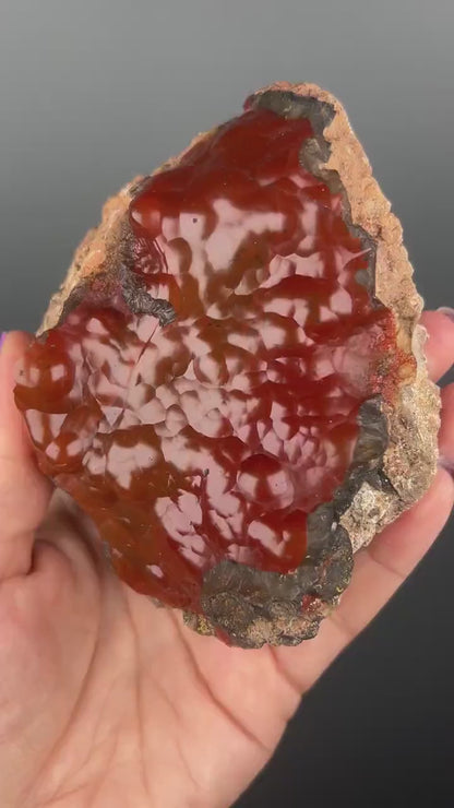 Red Fox Crater Agate,Fox Agate, Crater Agate,Red Agate