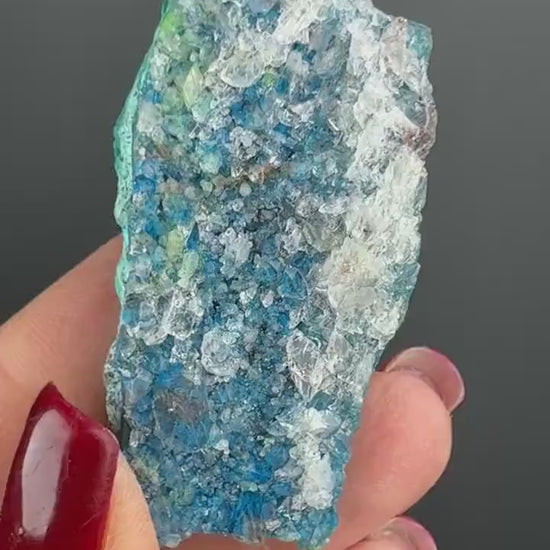 Amazing  Piece! Druzy  Blue Shattuckite with Quartz Crystal Specimen