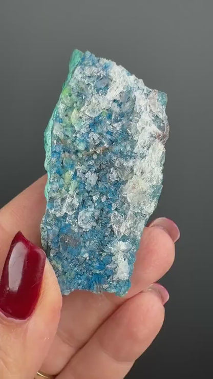 Amazing  Piece! Druzy  Blue Shattuckite with Quartz Crystal Specimen