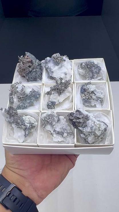 Arborescent Silver with White Calcite Specimen Lot