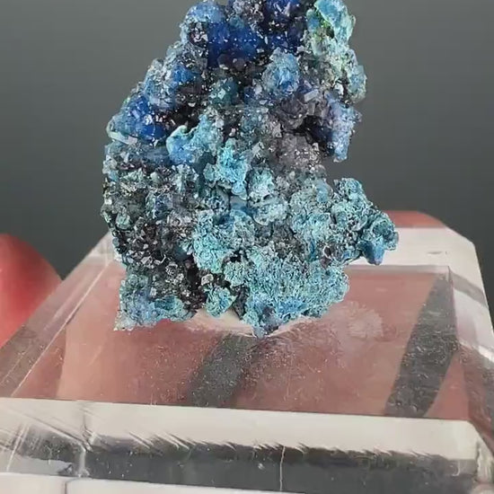 Cute Piece!!! Velvety Bubble Shattuckite Crystal Mineral Specimen