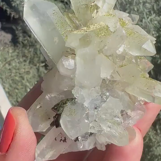 Crystal Quartz Flowers with Glittery Chlorite Crystals  Specimen